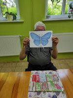 Miniatura zdjęcia: Challenge "Niebieskie motyle"
