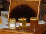 Miniatura zdjęcia: Wizyta pszczelarki
